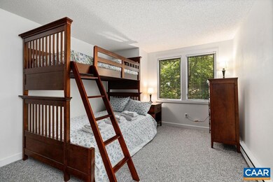 2123 Fairway Woods, Wintergreen Resort, VA 22967 - photo 6