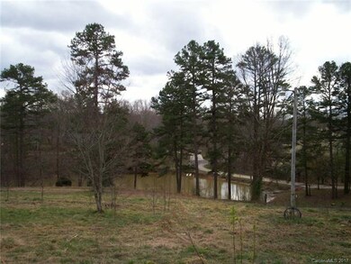 Back yard from existing driveway that overlooks the neighbors pond.