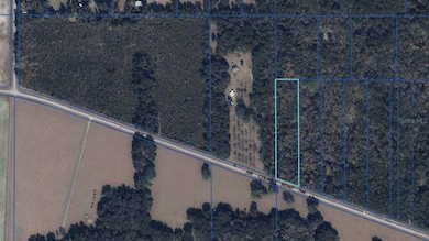 8146 SW County Road 346, Archer, FL 32618 - photo 2