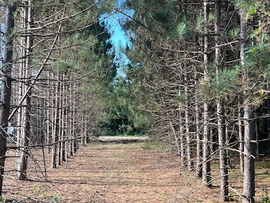 4218 See Gull Cove, Brainerd, MN 56401 - photo 6