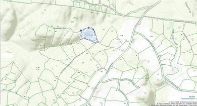 Greenfields West 261, topo, close