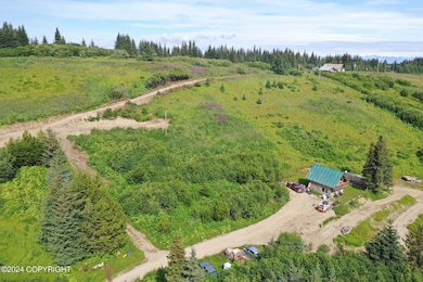 61245 Ohlson Mountain Rd, Homer, AK 99603 - photo 3