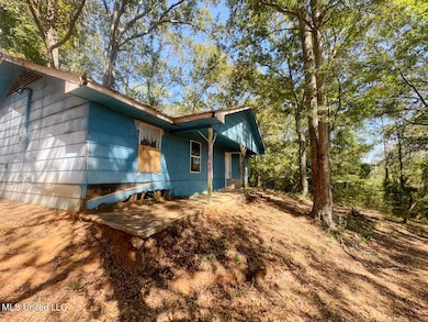 120 Doris McCallum Rd, Magee, MS 39111 - photo 2