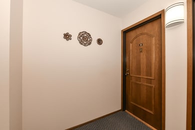 237 Madison St unit 56, Waukesha, WI 53188 - photo 6