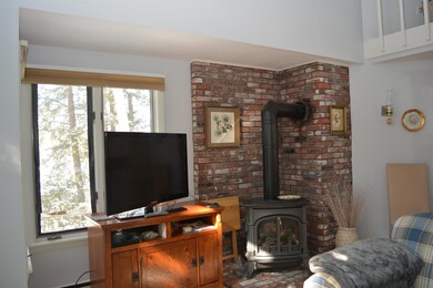 52 Black Duck Spur, Grantham, NH 03753 - photo 4