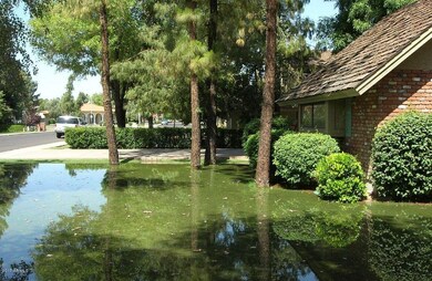 Front yard