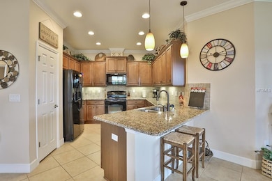 2502 Sapphire Greens Ln, Sun City Center, FL 33573 - photo 6