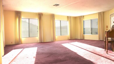 Expansive Living Room