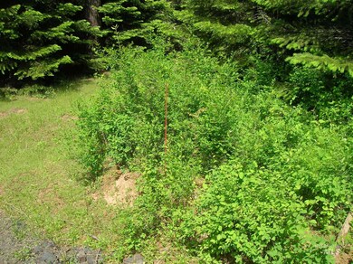 79 Bugling Elk Ln Lot D, Weippe, ID 83553 - photo 7