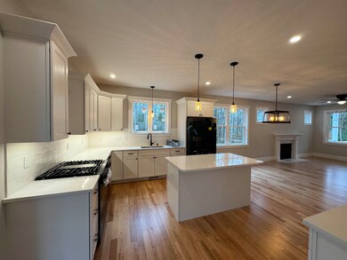 3 Mountain Shadows Dr unit 2, Moultonborough, NH 03254 - photo 7