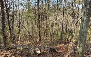 L1460 Mallory Cir, Ellijay, GA 30540 - photo 2