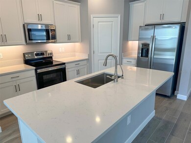 17216 Mango Shay Ct, Land O' Lakes, FL 34638 - photo 5