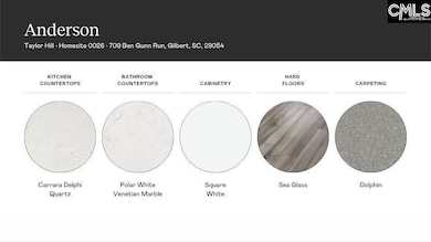 709 Ben Gunn Run, Gilbert, SC 29054 - photo 4