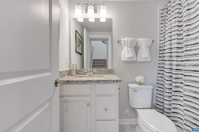 2013 Desoto Dr, Charlottesville, VA 22902 - photo 6