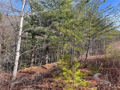 00 Dobsons Knob Loop Rd unit 32, Marion, NC 28752 - photo 7