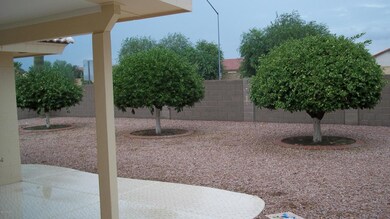 BACK  YARD