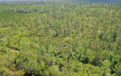 0 County Line & Prine unit 129261, Lee, FL 32059 - photo 4