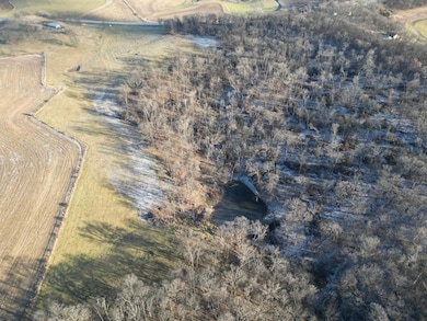 000 Tbd Lycurgus Rd, Waukon, IA 52172 - photo 5