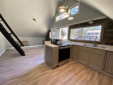 22 Raccoon Aly, Hillsborough, NH 03244 - photo 2