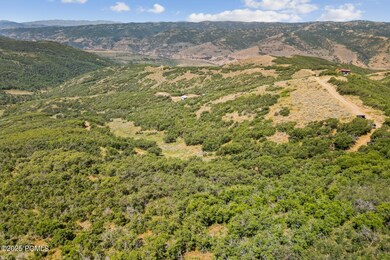 10976 Skyline Rd unit 202, Echo, UT 84024 - photo 5