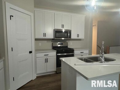 4906 Willow Cir, Davenport, IA 52806 - photo 5