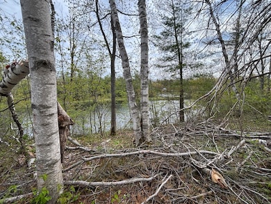 Waterfront Iroquois pic 5
