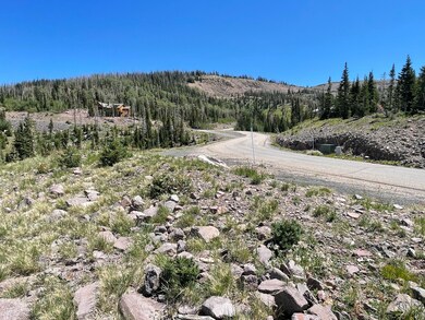 IMG_0157
