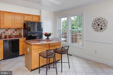 46588 Riverwood Terrace, Sterling, VA 20165 - photo 3