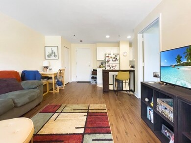 332 Jamaicaway unit 306, Jamaica Plain, MA 02130 - photo 2