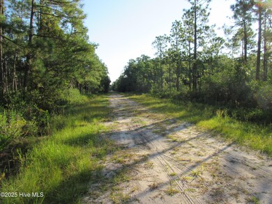 1300 Beech Rd, Boiling Spring Lakes, NC 28461 - photo 5