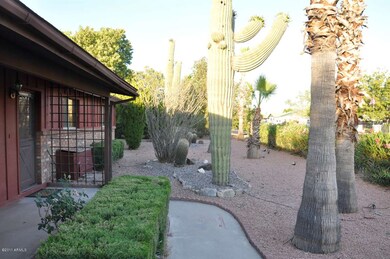 Front Yard side view