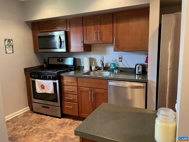 165 Hessian Hills Way unit 2, Charlottesville, VA 22901 - photo 5