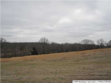 200 Ranch Rd, Hernando, MS 38632 - photo 4