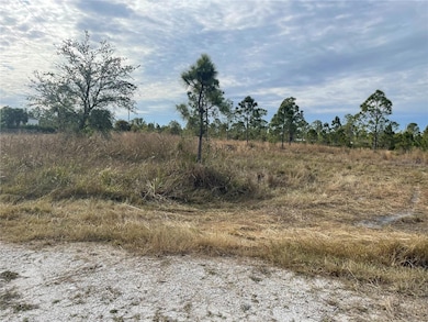 29290 Clara Dr, Punta Gorda, FL 33982 - photo 2