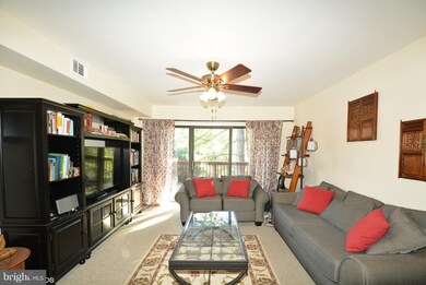 207 Skyhill Rd unit 4, Alexandria, VA 22314 - photo 3