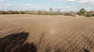 279 E Jones Rd, Bald Knob, AR 72010 - photo 4