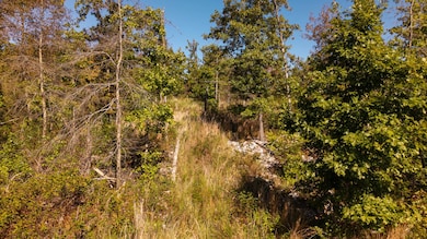 000 A Hwy, Thayer, MO 65791 - photo 5