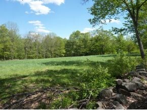 651 E Deering Rd, Deering, NH 03244 - photo 6