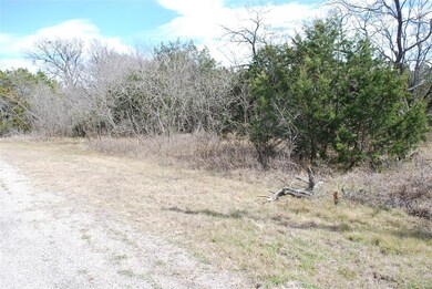 44073 Thistle Dr, Whitney, TX 76692 - photo 4