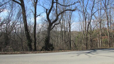 114 Furnace Rd, Johnson City, TN 37601 - photo 6