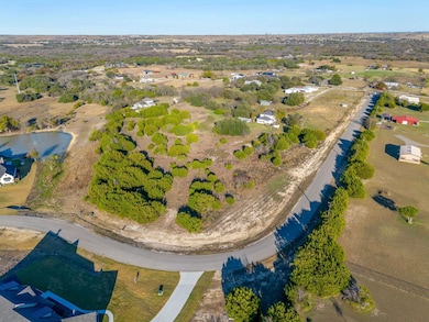 2000 Meadowlark Ct, Aledo, TX 76008 - photo 2
