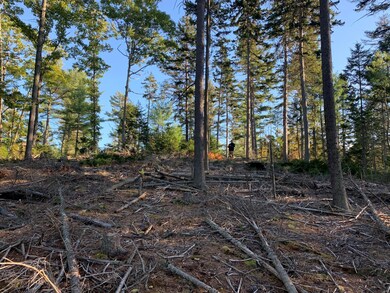 Pulsifer Land