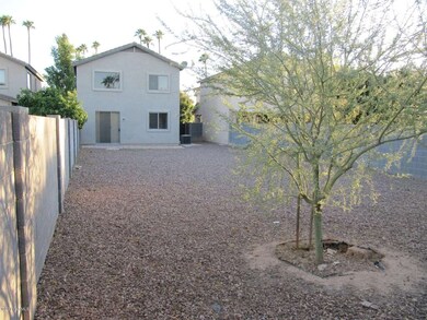 Backyard 3