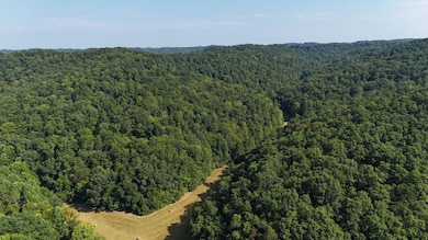 Sr 34 S, Hurricane, WV 25526 - photo 5