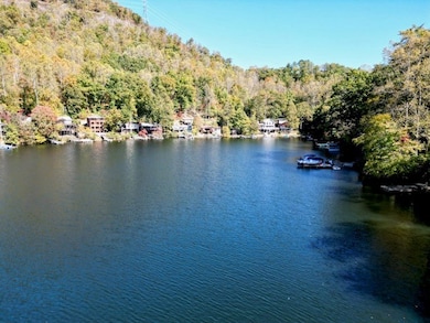 23 Moseley Way, Robbinsville, NC 28771 - photo 4