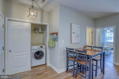 33725 Skiff Aly unit 306, Lewes, DE 19958 - photo 5