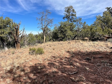 1022 Duffis Bluff Rd, Seligman, AZ 86337 - photo 7