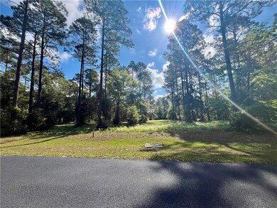 LOT 504 N Marsh Hen Rd NE, Townsend, GA 31331 - photo 4