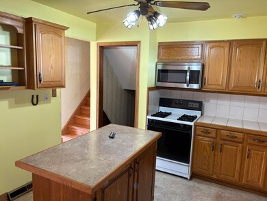 527 Osage Dr, Dyer, IN 46311 - photo 7