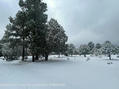 Lot 14 Larkspur Loop View